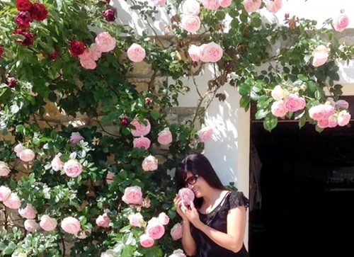 Khu vườn 'triệu đóa hồng' như cổ tích của mẹ Việt ở Pháp
