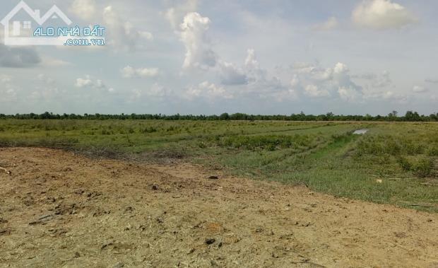 cho thuê đất nông nghiệp tại khu vực hóc môn với diện tích lón