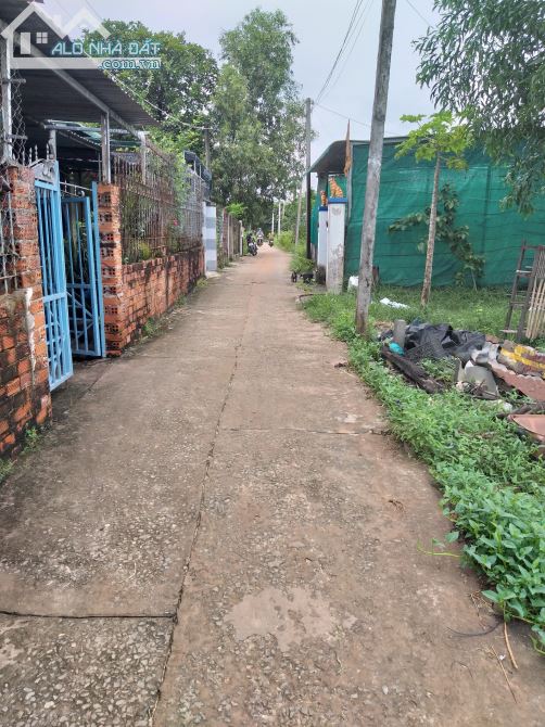 Bán đất ở Lagi Bình Thuận giá rẻ bất ngờ - 4