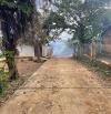 Bán lô đất 77x 20  tỉnh lộ 10 huyện Krông Ana