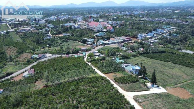 Đất quy hoạch full thổ cư trung tâm Lộc An, 2 mặt tiền đường, chỉ 15p là đếnTp Bảo Lộc - 2