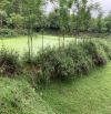Bán nhanh trang trại, nhà vườn tại xã Phúc Hà, dt 3,3ha có 400m2 thổ cư, giá 500nghin/m2