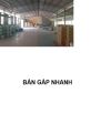 Bán Nhà Xưởng MTKD 125 Nguyễn Hữu Tiến, Tây Thạnh, Tân Phú, 20x25m, giá 75 tỷ
