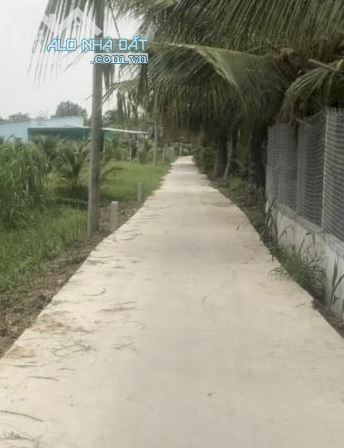 Bán đất thổ cư đường bê tông KDC Tân Lý Tây, Châu Thành, Tiền Giang - 3