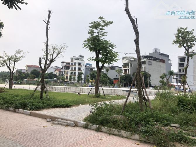 Bán đất Đấu giá Long Biên, View công viên, vỉa hè, 178 m2, mặt tiền 7,3 m, giá chỉ 32 tỷ. - 4
