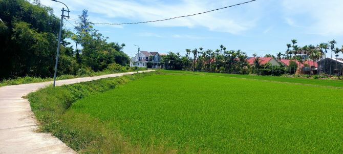 Cần sang nhượng villa view lúa ngay trung tâm An Mỹ, Cẩm Châu,Hội An - 2
