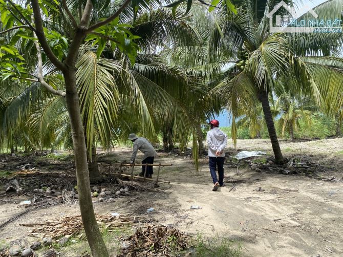 Bán đất 6000m2 phường Cam Nghĩa- Cam Ranh tặng vườn dừa, chủ ngộp thở ngân hàng - 9