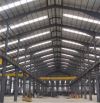 Cho thuê kho xưởng mới trong KCN Nhơn Trạch Đồng Nai nhà máy điện tử 12.000m2