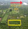 Cần bán 3 sào đất thôn 1 Đạt Lý, Hoà Thuận, Buôn Ma Thuột. Góc 2 mt. 32x94m. Giá 2.8 tỷ
