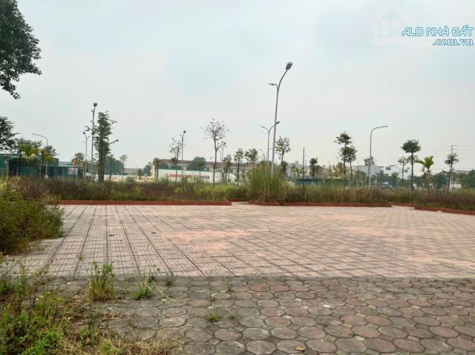 Cần bán lô đất nhìn vườn hoa giá rẻ nhất khu 4,6ha Lim, Tiên Du, BN. Giá chỉ 3,3 tỷ - 1