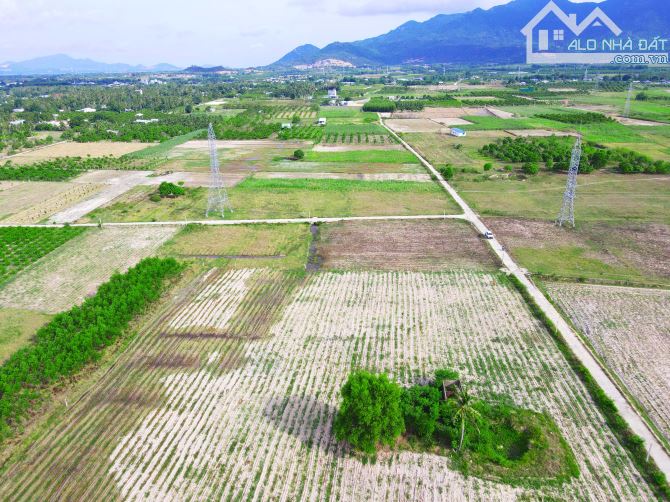 Lô đất 2 mặt tiền Cam Thành Nam - Cam Ranh: Đầu tư sinh lời ngay khi xuống tiền - 4