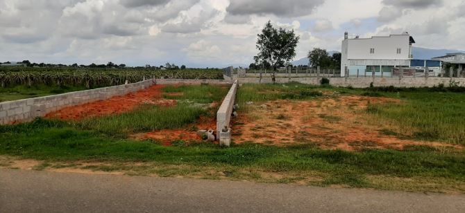 Bán 200m thổ cư, tặng 100m đất lúa gần UB Hàm Liêm, đường nhựa 10m, giá rẻ - 1