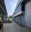 Chuyển nhượng nhà xưởng mới xây 11.500m2 trên lô đất 2.2ha tại KCN Tam Nông, Phú Thọ - giá