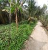 3500m² đất vườn dừa gần Tp Mỹ Tho, cao tốc