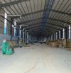 Xưởng cho thuê 5000m² cụm công nghiệp Tân Hạnh Biên Hoà