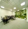 Cho thuê văn phòng làm spa hoặc studio siêu thoáng tại Hoàng Cầu sàn 70m2 nhiều ánh sáng