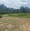 Cần bán lô đất 1840m2 đất 300m2 thuộc xã Thanh Sơn, Lương Sơn, Hòa Bình.