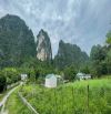 Cần bán mảnh đất 2900m2 view núi đá tuyệt đẹp làm nghỉ dưỡng tại Lương Sơn Hòa Bình