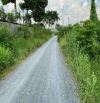 Cần bán đất mặt tiền đường trải đá 6m oto chạy 1/ Nguyễn Thị Nê vào 30m 10x42 300 thổ cư