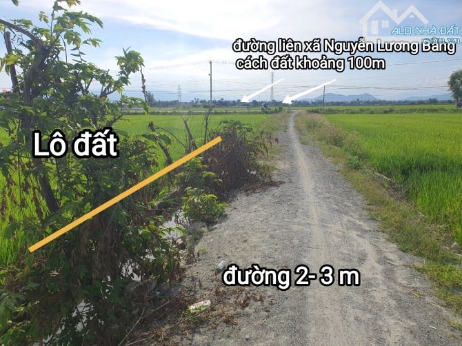 "Bán đất lúa Vĩnh Phương, Nha Trang 904 nghìn/m2. Cách đường liên xã Nguyễn Lương Bằng hơn - 1