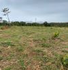 Bán đất giá rẻ chỉ 600tr cho 1,5 ha tại đăk nông
