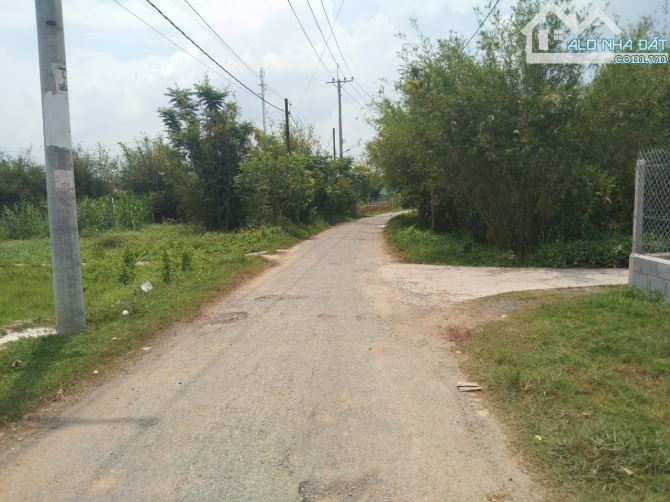 Cần bán miếng đất 359m2 Giá 1ty2 triệu ở Nguyễn Thị Nê, Phú Hòa Đông, Củ Chi - 3