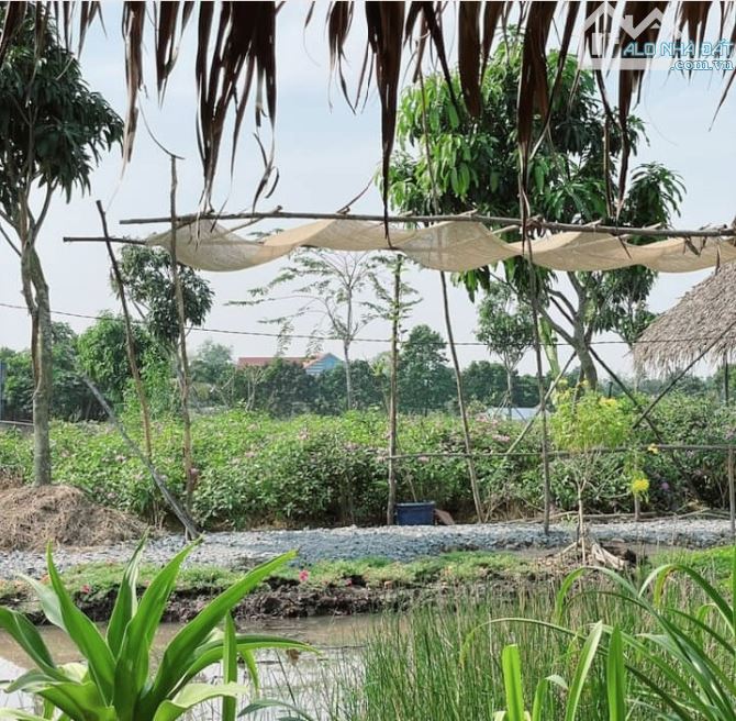 Quá đẹp, 235 tr sở hữu 500m2 đất vườn kênh nhị thành, Thủ Thừa - 5