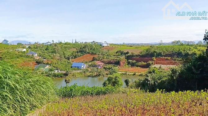 Bán đất veiw hồ cạnh Trung tâm TP. Bảo Lộc| Dt 933m2 có 200m2 TC - 2