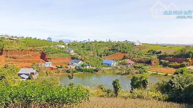 Bán đất veiw hồ cạnh Trung tâm TP. Bảo Lộc| Dt 933m2 có 200m2 TC - 3
