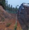 Bán lô đất hẻm cấp 1 ngay trường học Y Wang,Hòa khánh bmt
