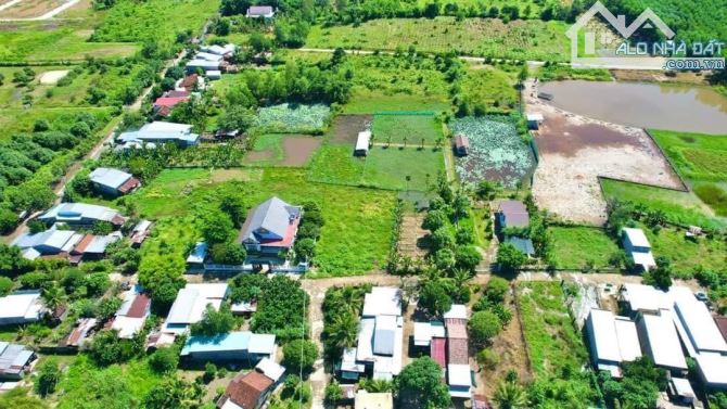 Nhà vườn ao cá Diên Đồng Diên Khánh, cần bán, 3300m2 đất rộng rãi, gần uỷ ban xã. - 1