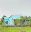 Nhà và vườn Xã Phước LÂm, Cần Giuộc; dt 1200m2