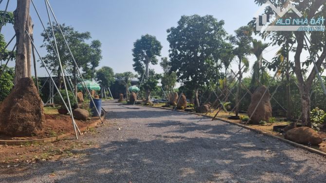Ra nhanh lô đất vườn gần sông tại Phú Túc . Nằm ngay đường DT763. Ngang 16m.Giá 789 triệu - 3