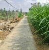 ✅ Bán 4469m2 đất LUA đang trồng dừa, hẻm Châu Thị Kim - 90 x 45 - 900 triệu / công