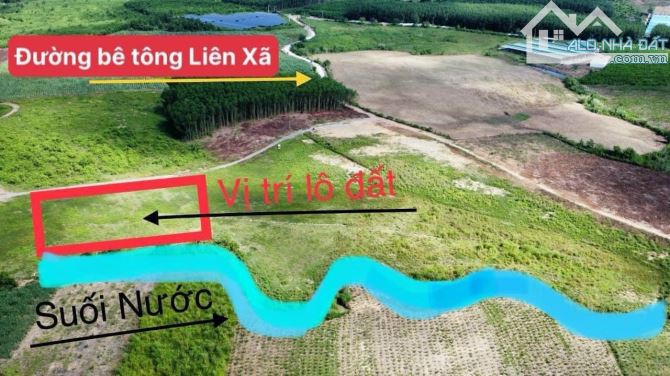 Bán Đất Diên Khánh (1000m2- giá 250tr) -rẻ hơn cả Khánh Vĩnh - 4