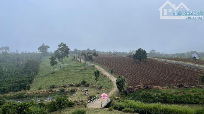 🥰🥰Giảm giá kịch sàn lô đất tại Lộc An QH thổ cư 50%  🥰Thế đất tựa đồi, có suối lượn - 4