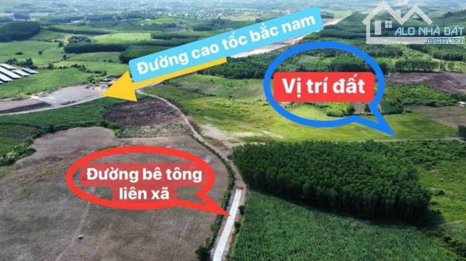 Bán Đất Diên Khánh (1000m2- giá 250tr) -rẻ hơn cả Khánh Vĩnh - 5