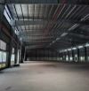 Cho thuê 10.000 m2 kho xưởng trong KCN TPM Bình Dương
