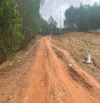 🌈🌈🌈Chỉ 16x triệu có ngay 3092m2 đất rừng sản xuất LỘC BỔN - PHÚ LỘC