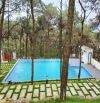 Bán căn Homestay gần 2000m2 có sẵn nhà, bể bơi, khuôn viên... tại Lâm Trường, xã Minh Phú