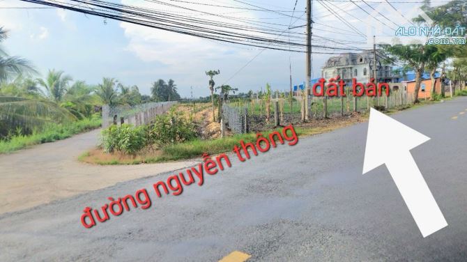 ✅ Đất mặt tiền đường Nguyễn Thông ở Châu Thành - 6 x 42 (245m2) - 1 tỷ 590 triệu . Sổ sẵn