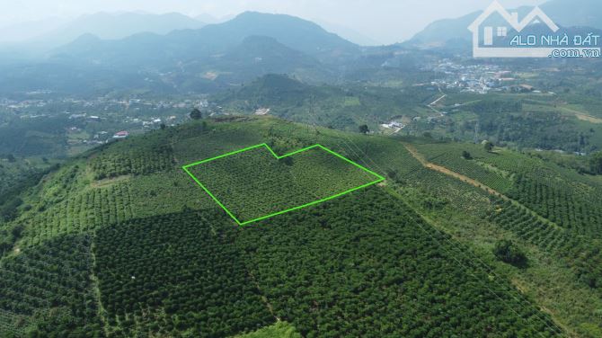 Bán 4819m² vườn tại Tp Bảo Lộc  giá chỉ 1 tỉ 4