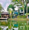 💥Cho thuê nhà vườn siêu đẹp hơn 1.000m2 - có hồ bơi đường Đào Duy Anh