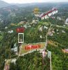 Bán 2133 m2 có sẵn 400 thổ đất xã Tân Lạc Bảo Lâm tặng kèm nhà cấp 4 còn mới có sẵn vườn