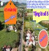 Giá hạt dẻ cho lô đất đẹp vườn Quốc lộ 19c xã Sơn Phước, Huyện sơn hoà, tỉnh phú yên