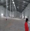 Cho thuê kho trang bị đầy đủ hệ thống PCCC tại KCN Thanh Oai-Hà Nội; 2500m2
