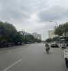 Bán nhà mặt phố Mạc Thái Tông, Cầu Giấy, Thang máy, kinh doanh, vỉa hè, 100m2, MT 6,5m, 50