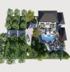 VILLA 1685m2 mới xây khu sinh thái Minh Trí, Sóc Sơn siêu đẹp, siêu rẻ chỉ nhỉnh 6TỈ