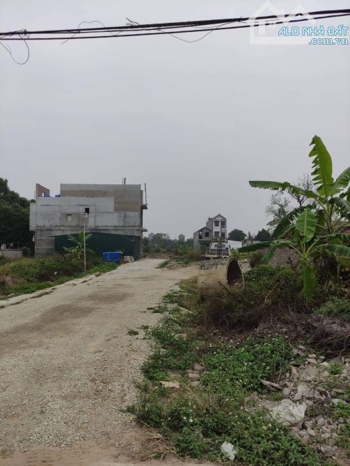 Bán lô đất ở phường An Bình Thị xã Thuận Thành Bắc Ninh