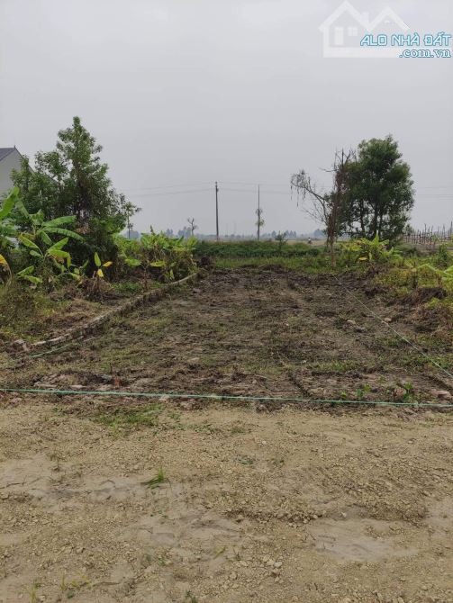 Bán lô đất ở phường An Bình Thị xã Thuận Thành Bắc Ninh - 1